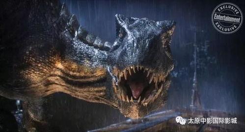 霸王龙爆料视频全集下载,揭秘史前巨兽的神秘面纱